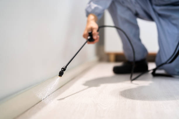 Licensed Cockroach Control service in Winona, MS - Nex Pest Control