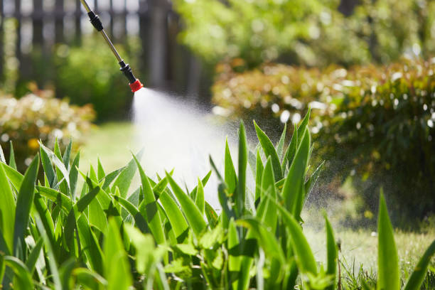 24/7 Emergency Cockroach Control experts in Winona, MS