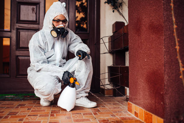 Reliable Cockroach Control contractor in Winona, MS by Nex Pest Control
