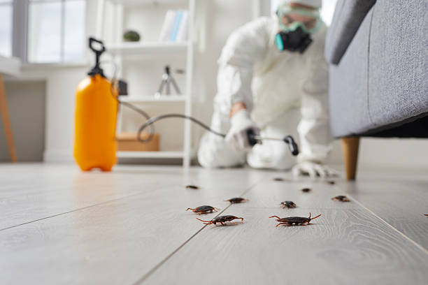 Trusted Rodent Control service in Winona, MS - Nex Pest Control